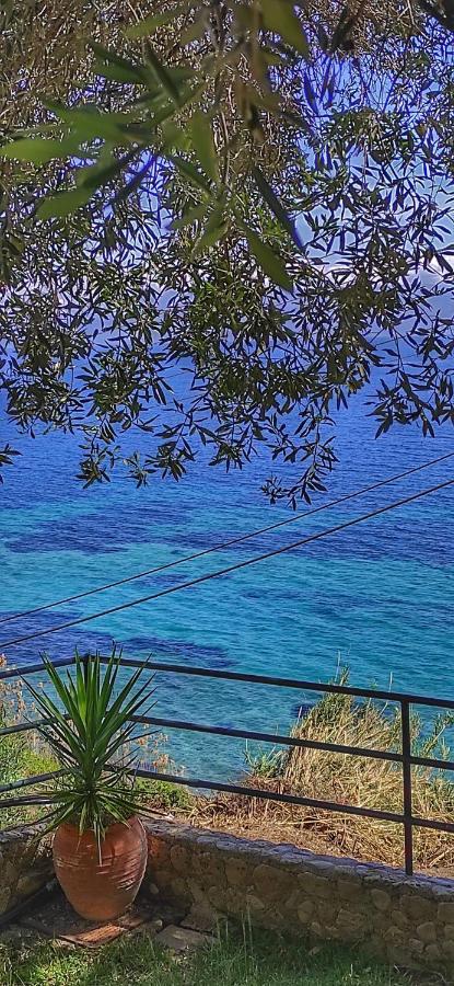 Villa Fourtuna Apartment Agios Ioannis Peristeron  Exterior photo
