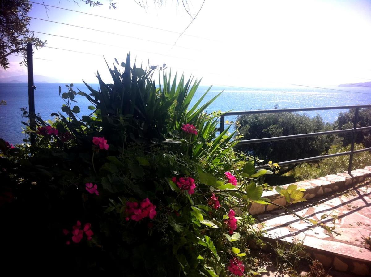 Villa Fourtuna Apartment Agios Ioannis Peristeron  Exterior photo