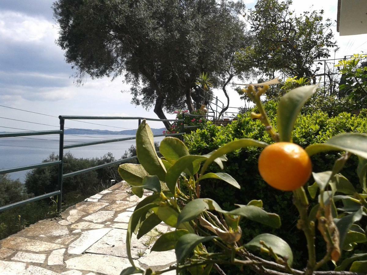 Villa Fourtuna Apartment Agios Ioannis Peristeron  Exterior photo